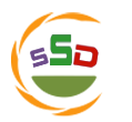 Softsoftware Development Ranchi